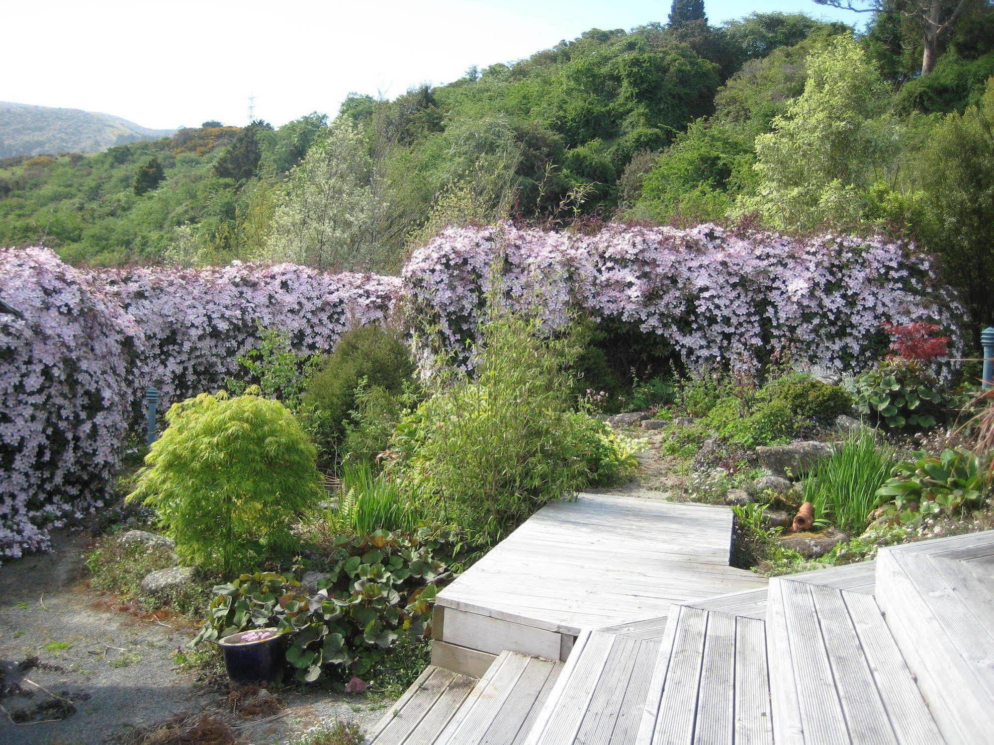 Leithview B And B Dunedin Exterior foto