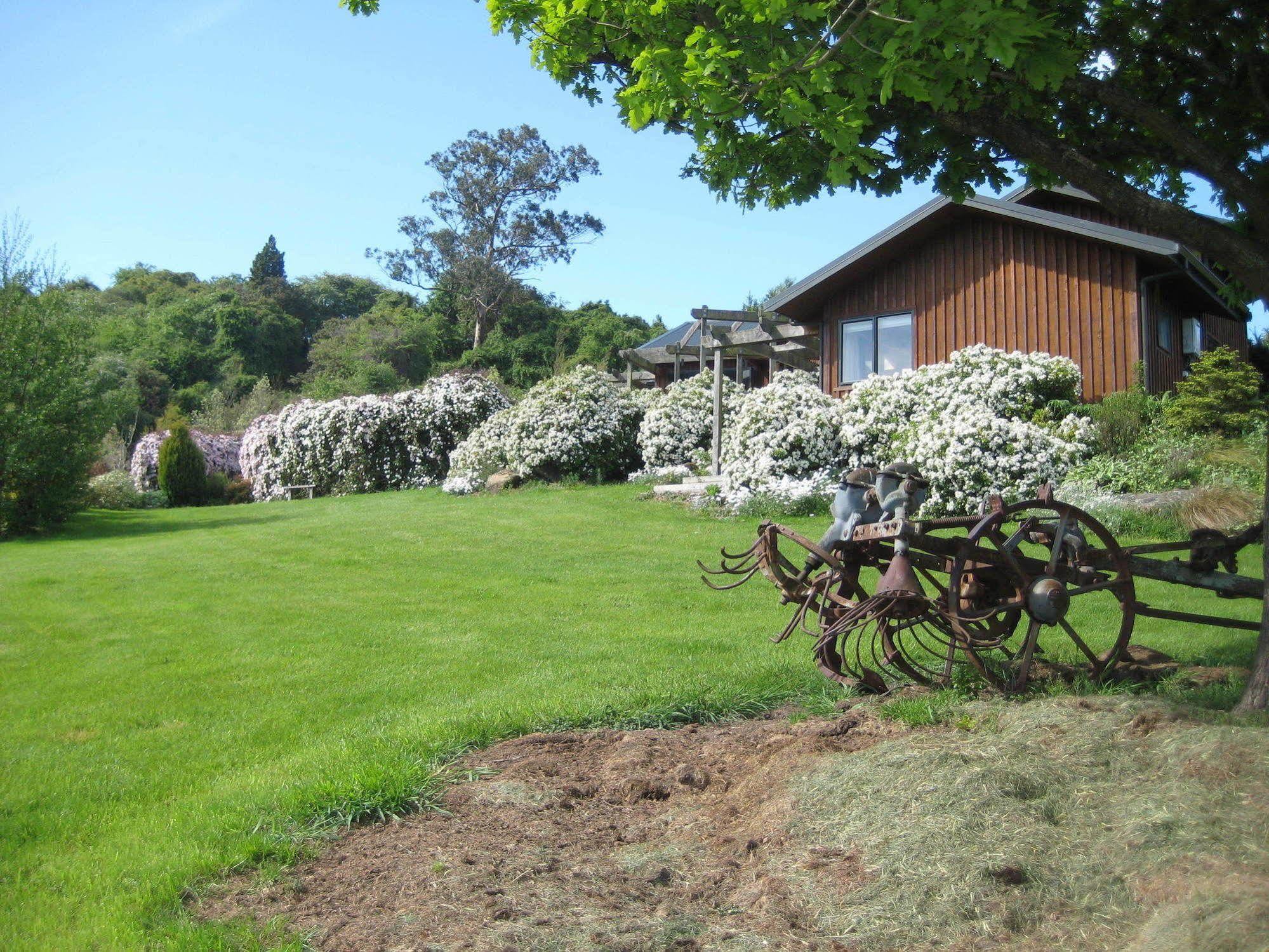 Leithview B And B Bed and Breakfast Dunedin Exterior foto